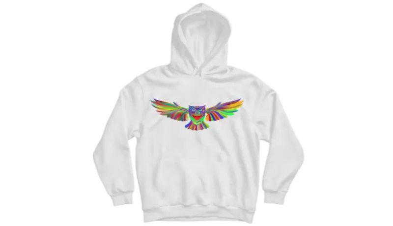 Суичер унисекс Rainbow owl