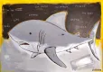 Motivational Shark