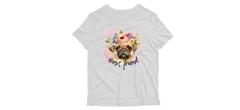 Best friend-pug friend/мопс