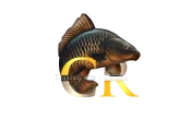 Дизайнерски дрехи | catchandrelease.printondemand.bg