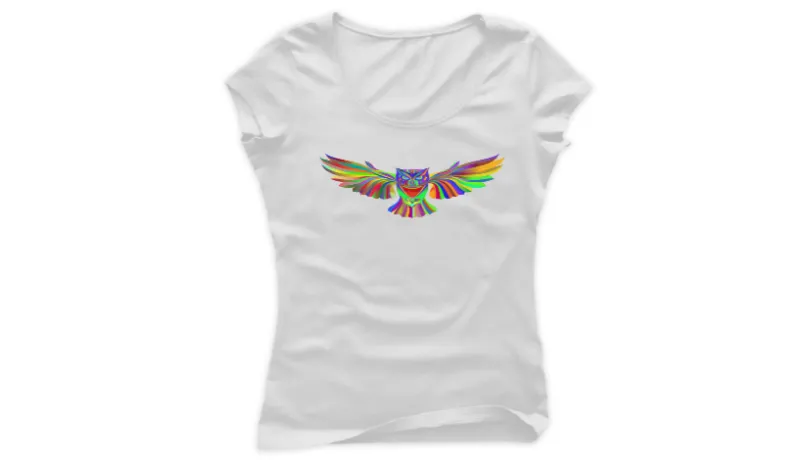 Теника Rainbow owl
