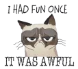 Дамска сива тениска "I had fun one time"