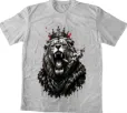 King Lion