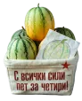 Унисекс блуза - петилетката