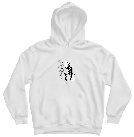 AOT FLY